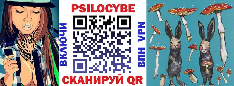 Псилоцибиновые грибы Psilocybine cubensis  blacksprut вход  Калининец  закладки 